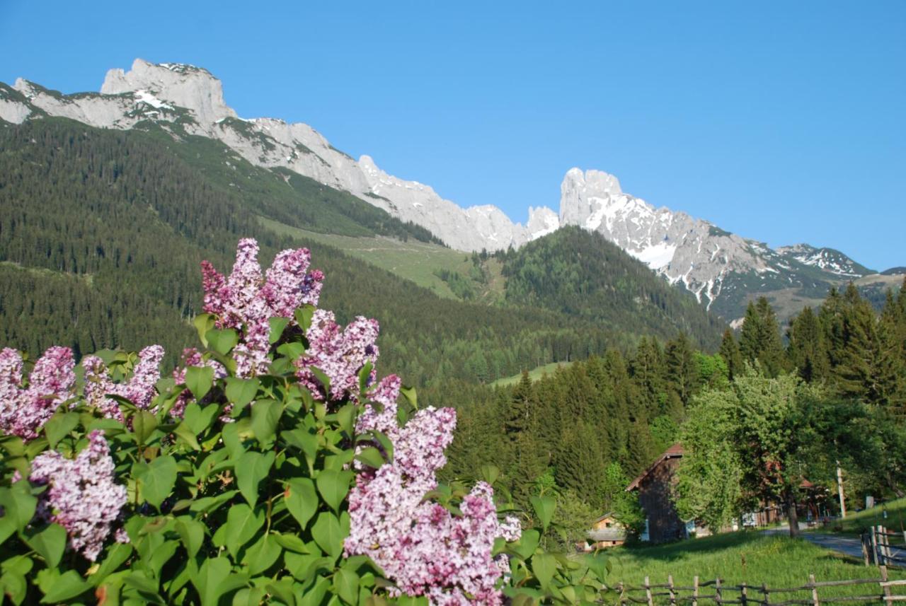 Apartament Alpenhaus Donnerkogel Annaberg im Lammertal Zewnętrze zdjęcie