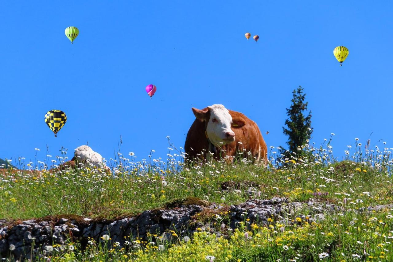 Apartament Alpenhaus Donnerkogel Annaberg im Lammertal Zewnętrze zdjęcie